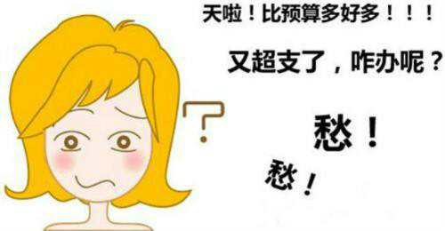 装修预算漫画图