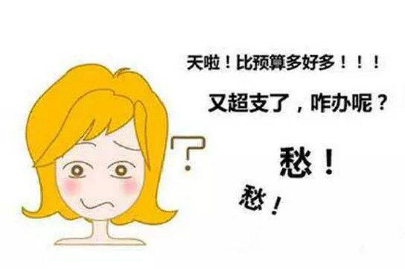 预算超支漫画图