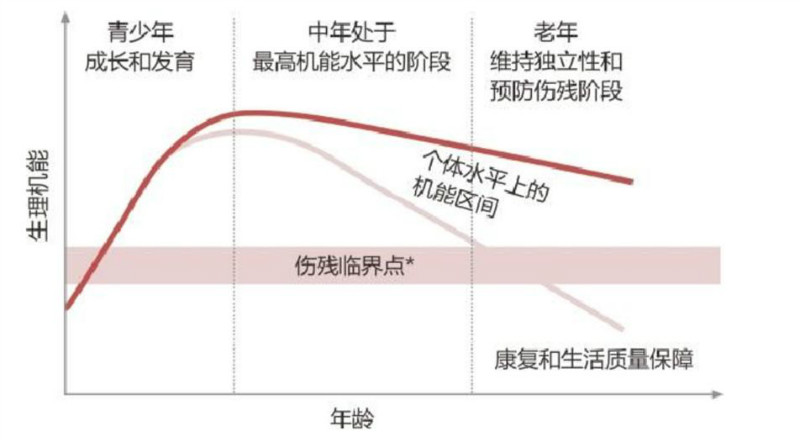 生命机能图